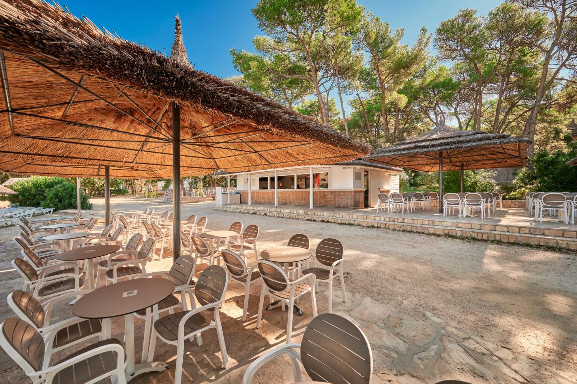 Pine Pakoštane