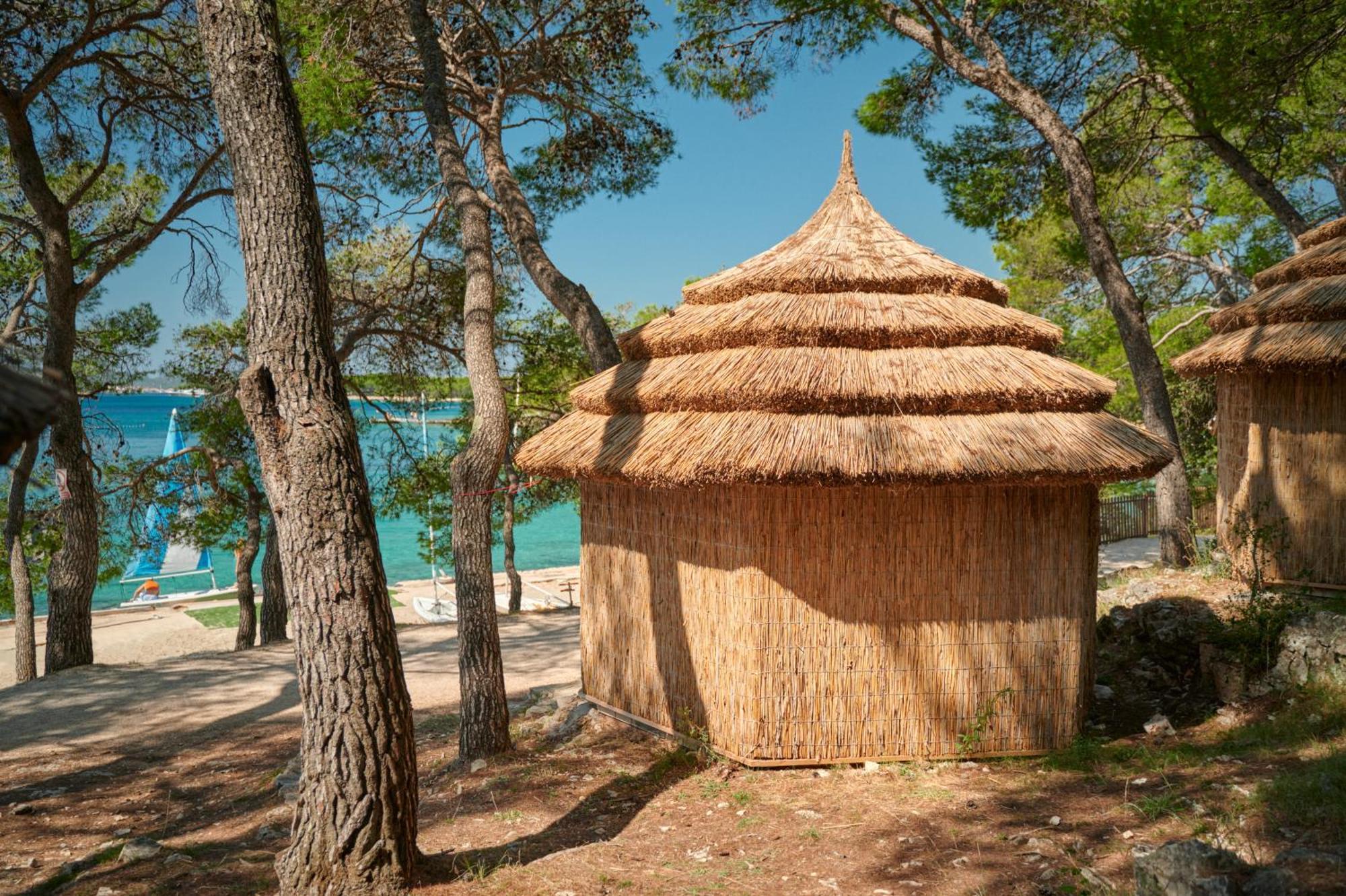 Pine Pakoštane